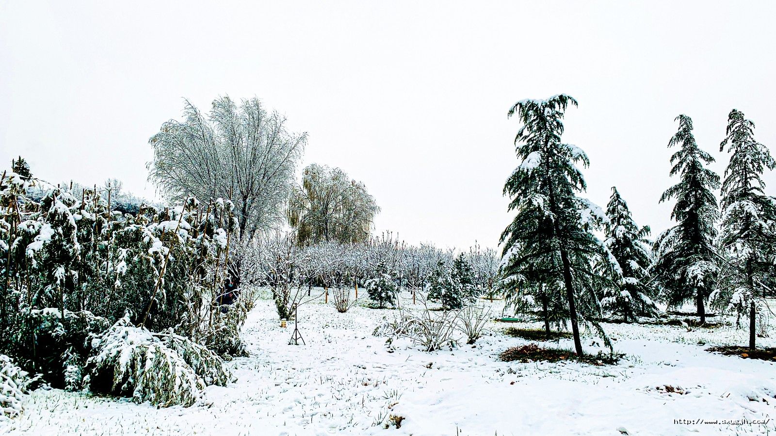 4版 雪景遠景.jpg